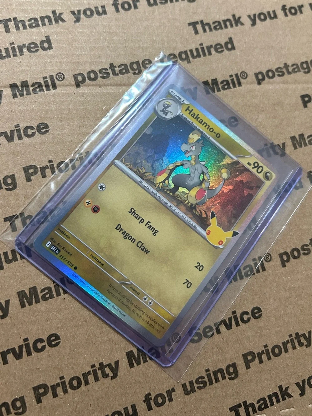 Pokemon holo hakamo